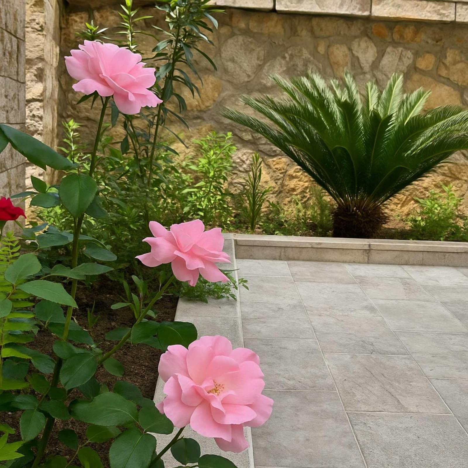 Apartments Villa Mirjana Budva Exteriér fotografie
